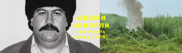 МДПВ Покровск